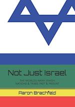 Not Just Israel: the world's many Jewish nations & tribes, past & present 