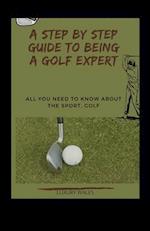 A Step By Step Guide To Being A Golf Expert: All You Need To Know About The Sport, Golf 