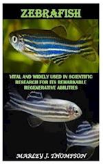 ZEBRAFISH: Vital and Widely used in Scientific Research for Its Remarkable Regenerative Abilities 