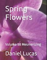 Spring Flowers : Volume 98 Mesmerizing 