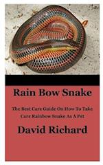 Rain Bow Snake