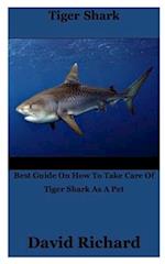 Tiger Shark: Best Guide On How To Take Care Of Tiger Shark As A Pet 