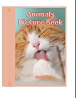 Animals Picture Book - age 2-6 
