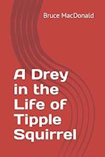 A Drey in the Life of Tipple Squirrel 
