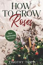 How to Grow Roses: Rose Gardening Secrets 