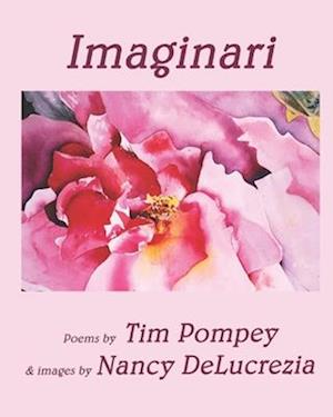 Imaginari