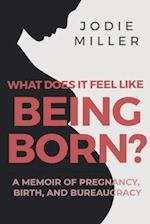 What Does It Feel Like Being Born?: A memoir of pregnancy, birth and bureaucracy 
