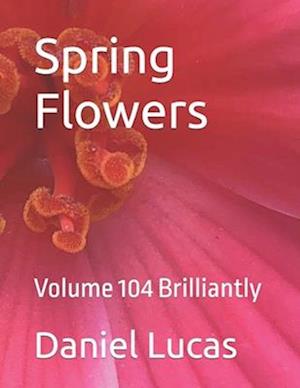 Spring Flowers : Volume 104 Brilliantly