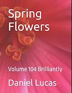 Spring Flowers : Volume 104 Brilliantly 