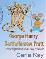 George Henry Bartholomew Pratt: The Exciting Misadventures of a Young Norway Rat 