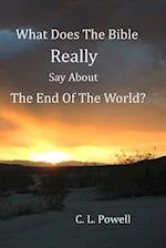 What Does The Bible Really Say About The End Of The World? 