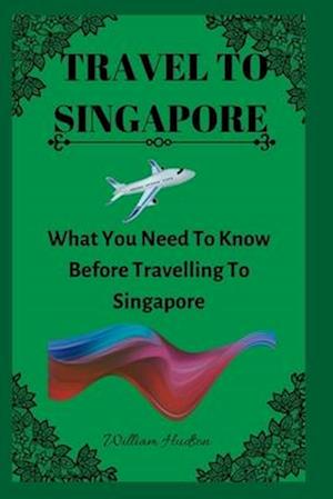 TRAVEL TO SINGAPORE: What You Need To Know Before Travelling To Singapore