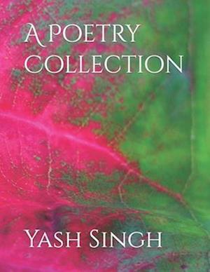 A Poetry Collection