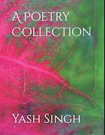 A Poetry Collection 