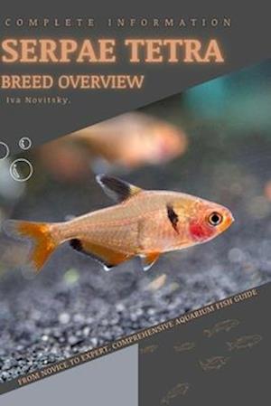 Serpae Tetra: From Novice to Expert. Comprehensive Aquarium Fish Guide