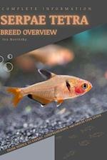 Serpae Tetra: From Novice to Expert. Comprehensive Aquarium Fish Guide 