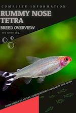 Rummy Nose Tetra: From Novice to Expert. Comprehensive Aquarium Fish Guide 