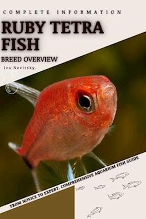 Ruby Tetra Fish: From Novice to Expert. Comprehensive Aquarium Fish Guide