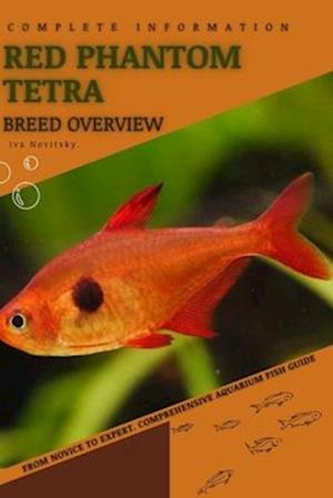 Red Phantom Tetra: From Novice to Expert. Comprehensive Aquarium Fish Guide