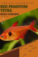 Red Phantom Tetra: From Novice to Expert. Comprehensive Aquarium Fish Guide 