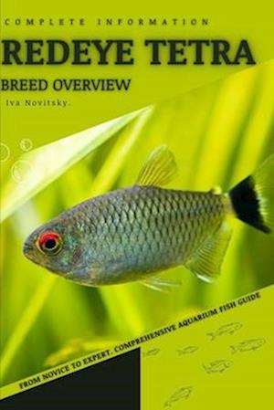 Redeye Tetra: From Novice to Expert. Comprehensive Aquarium Fish Guide