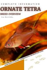 Ornate Tetra: From Novice to Expert. Comprehensive Aquarium Fish Guide 