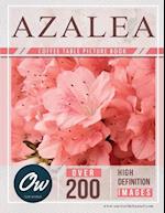 Azalea: Coffee Table Picture Book 