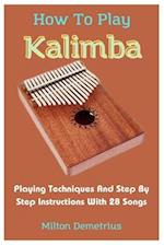 How To Play Kalimba : Playing Techniques And Step By Step Instructions With 28 Songs 