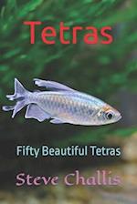 Tetras: Fifty Beautiful Tetras 
