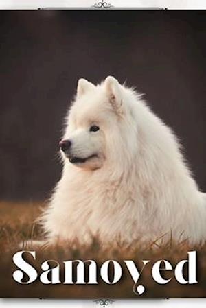 Samoyed: Dog breed overview and guide