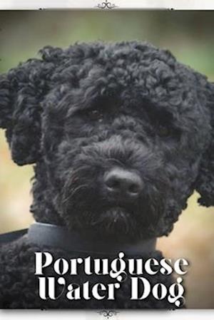 Portuguese Water Dog: Dog breed overview and guide