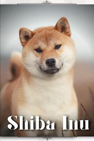 Shiba Inu: Dog breed overview and guide