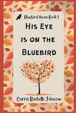 His Eye is on the Bluebird