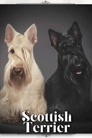 Scottish Terrier: Dog breed overview and guide