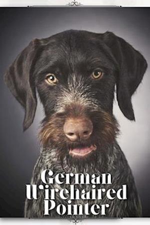 German Wirehaired Pointer: Dog breed overview and guide