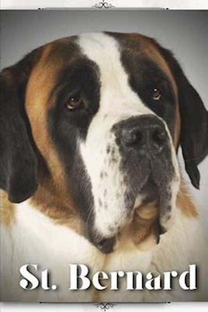 St. Bernard: Dog breed overview and guide