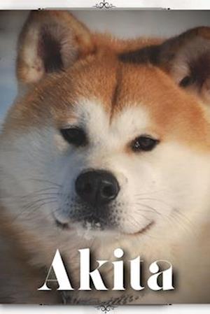 Akita: Dog breed overview and guide