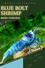 Blue Bolt Shrimp: From Novice to Expert. Comprehensive Aquarium shrimp Guide 