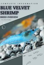 Blue Velvet Shrimp: From Novice to Expert. Comprehensive Aquarium shrimp Guide 