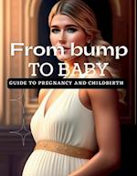 From Bump to Baby : Guide to Pregnancy and Childbirth 