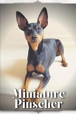 Miniature Pinscher: Dog breed overview and guide