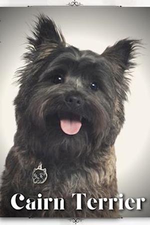 Cairn Terrier: Dog breed overview and guide