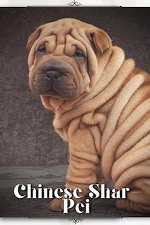 Chinese Shar-Pei: Dog breed overview and guide