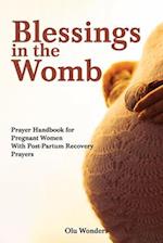 Blessings in the Womb: A Prayer Handbook for Pregnant Women With Post-Partum Recovery Prayers 