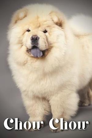 Chow Chow: Dog breed overview and guide