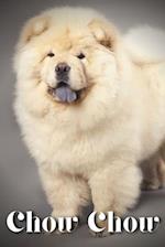 Chow Chow: Dog breed overview and guide 