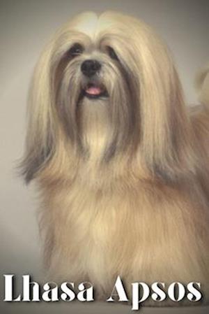 Lhasa Apsos: Dog breed overview and guide