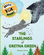 "Have YOU Seen?" The Starlings of Gretna Green? 