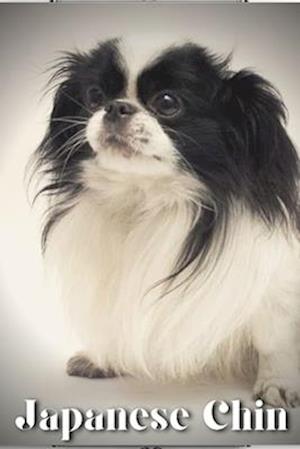 Japanese Chin: Dog breed overview and guide