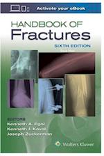 Handbook of Fractures 